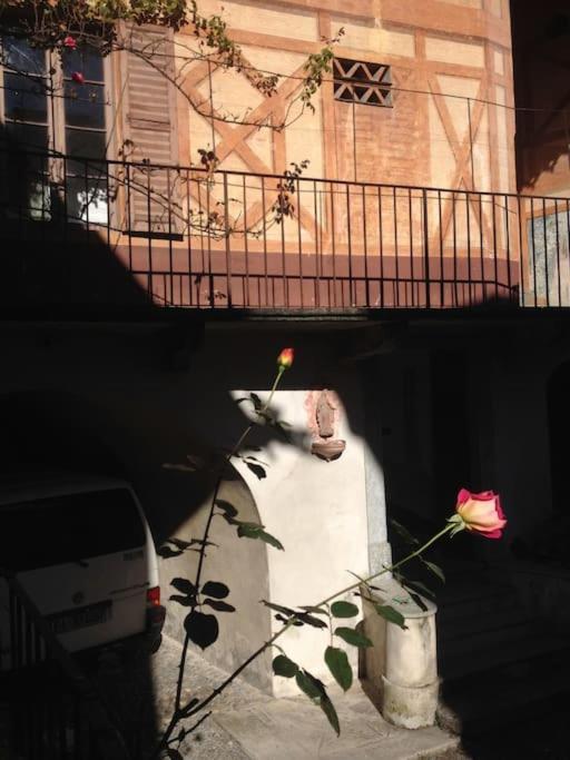 Il Drago Al Roseto Del Drago Villa San Bernardo  Buitenkant foto