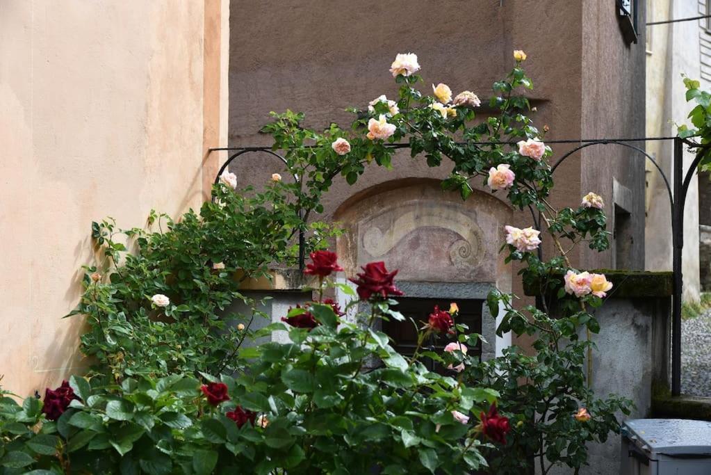 Il Drago Al Roseto Del Drago Villa San Bernardo  Buitenkant foto
