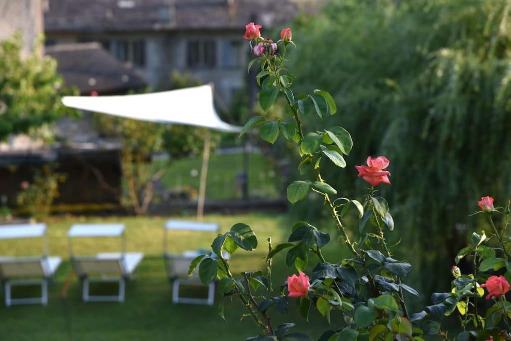 Il Drago Al Roseto Del Drago Villa San Bernardo  Buitenkant foto